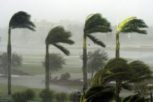 generator installation jupiter fl